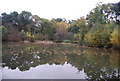 Wider part of the Basingstoke Canal