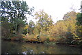 Autumn colours, Basingstoke Canal