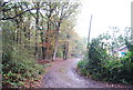 Bridleway, Woodside Wood