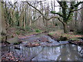 SP0280 : Manor Farm - The Start of Griffin's Brook (2) by Roy Hughes
