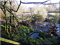 Storm damage in Calderglen Country Park