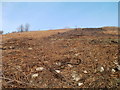 Brown winter upland landscape between Crumlin and Sofrydd