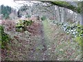 Path and wall beside Tullypowrie Burn