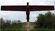 NZ2657 : Angel of the North by Christine Westerback