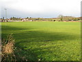 View from Butt Lane towards the McAulay Memorial Homes, Aylesby