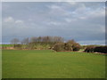 View towards Aylesby Road