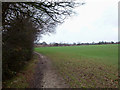 Footpath to the Woods