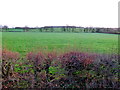 View towards Berrow Wood