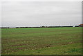 Farmland, Buttway Lane