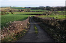 SO6429 : Baynham's Lane by Philip Halling