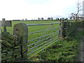 SE2007 : Field gate in dry stone wall by Christine Johnstone
