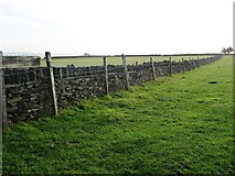 SE2007 : Dry stone wall reinforced with barbed wire by Christine Johnstone