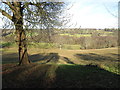 Fields north of Merriments Lane