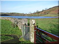 View of the lake from near Talley Abbey ruins