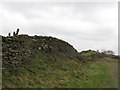 Stone wall on Kerridge Hill