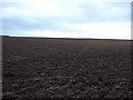 Farmland near Garforth