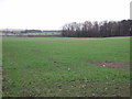 Farmland near Pointer Farm