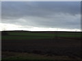 Farmland near Barkston Ash