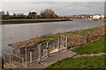 Coney Gut Outfall on the river Taw