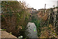 Looking downstream on Coney Gut from a bridge on Gloster Road