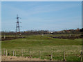 TQ8297 : The Mounds of South Woodham Ferrers by terry joyce
