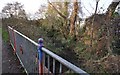 Looking downstream on Coney Gut from a bridge on Hollowtree Cycleway