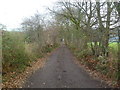 Corfe Mullen, bridleway