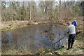 Pond clearing in Park Copse