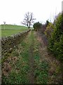 NY9757 : Footpath north of Slaley by Oliver Dixon