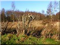 Tullagherin Townland