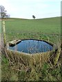 Cattle drinking trough near Preese Hall