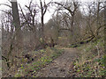 Path Through Hough End Clough