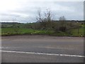 Fields at a bend in the road near Oburnford