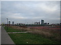 Towerblocks in Stratford, viewed from the Greenway #2