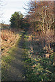 NS9461 : Path from Fauldhouse by Anne Burgess