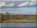 SE7170 : Man-made lakes, Castle Howard by Pauline E