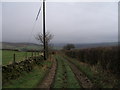 Bridleway near Field Head Farm