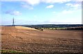 Fields near Moulsford