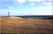 SU5882 : Fields near Moulsford by Des Blenkinsopp