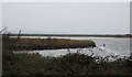 TQ7176 : Cliffe Pools Nature Reserve by N Chadwick