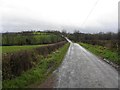 Rahony Road, Meenagar