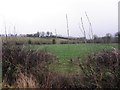 Skeogue Townland