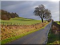 Road and farmland, Hesket