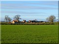 Farmland, Scorton