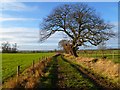 Bridleway and farmland, Uckerby