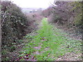 Bridleway near Long Bredy