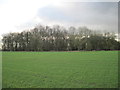 Brow  Wood  from  High  Lane