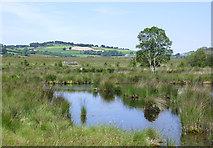 SN6862 : Pools on Cors Caron in July, Ceredigion by Roger  D Kidd