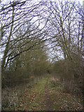 TM2668 : Kings Lane Bridleway to Tannington Long Lane by Geographer
