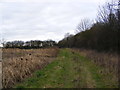 TM2768 : Looking towards the Bee Hives at Downs Farm by Geographer